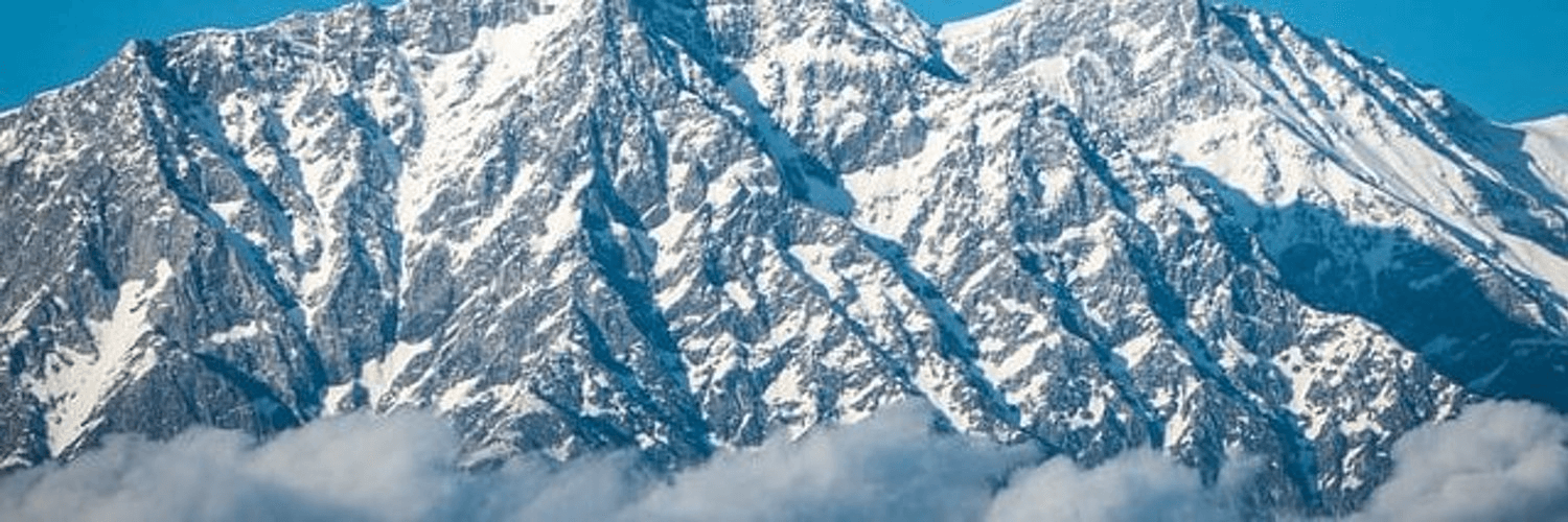Profile Banner