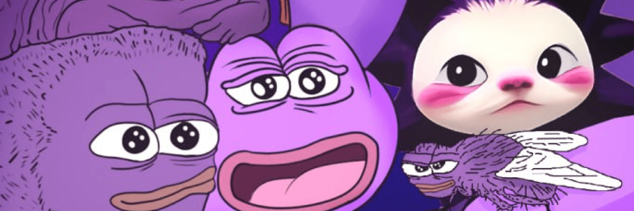 Profile Banner