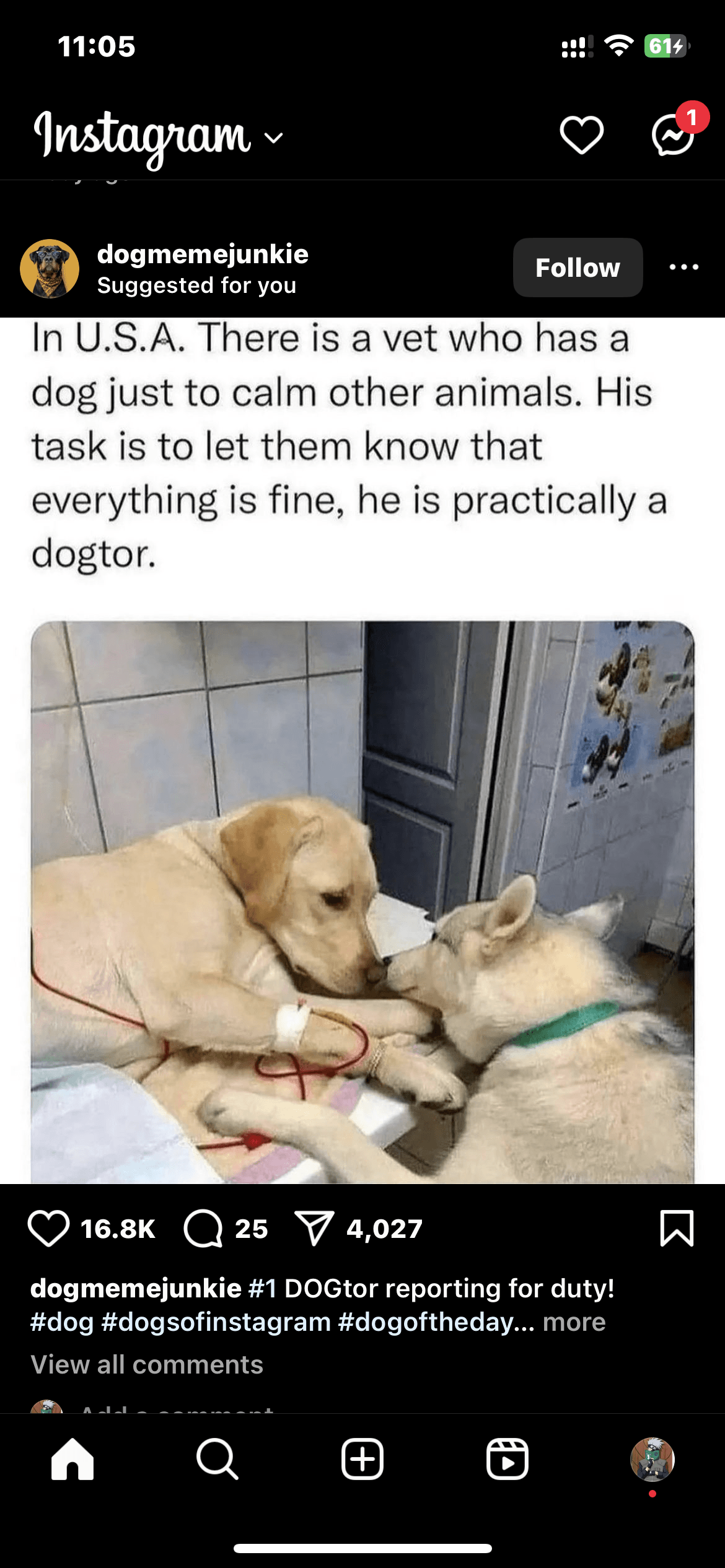 Post Image