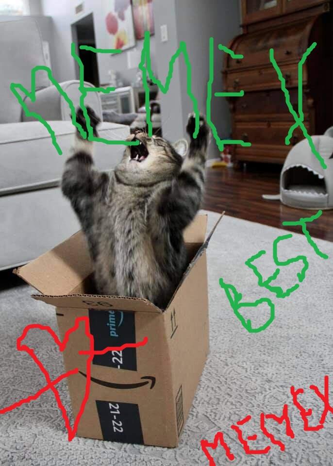 Post Image