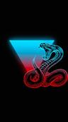SLCOBRA