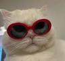 CATI