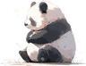 panda