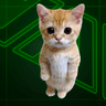 ZENCAT