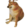 Rmsidrmfo