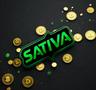 sativa
