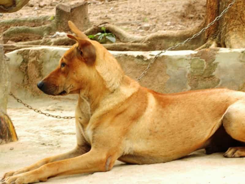 Profile