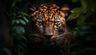 acer_abhi