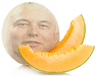 melonmusk