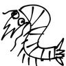 shrimp