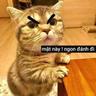 Phuc
