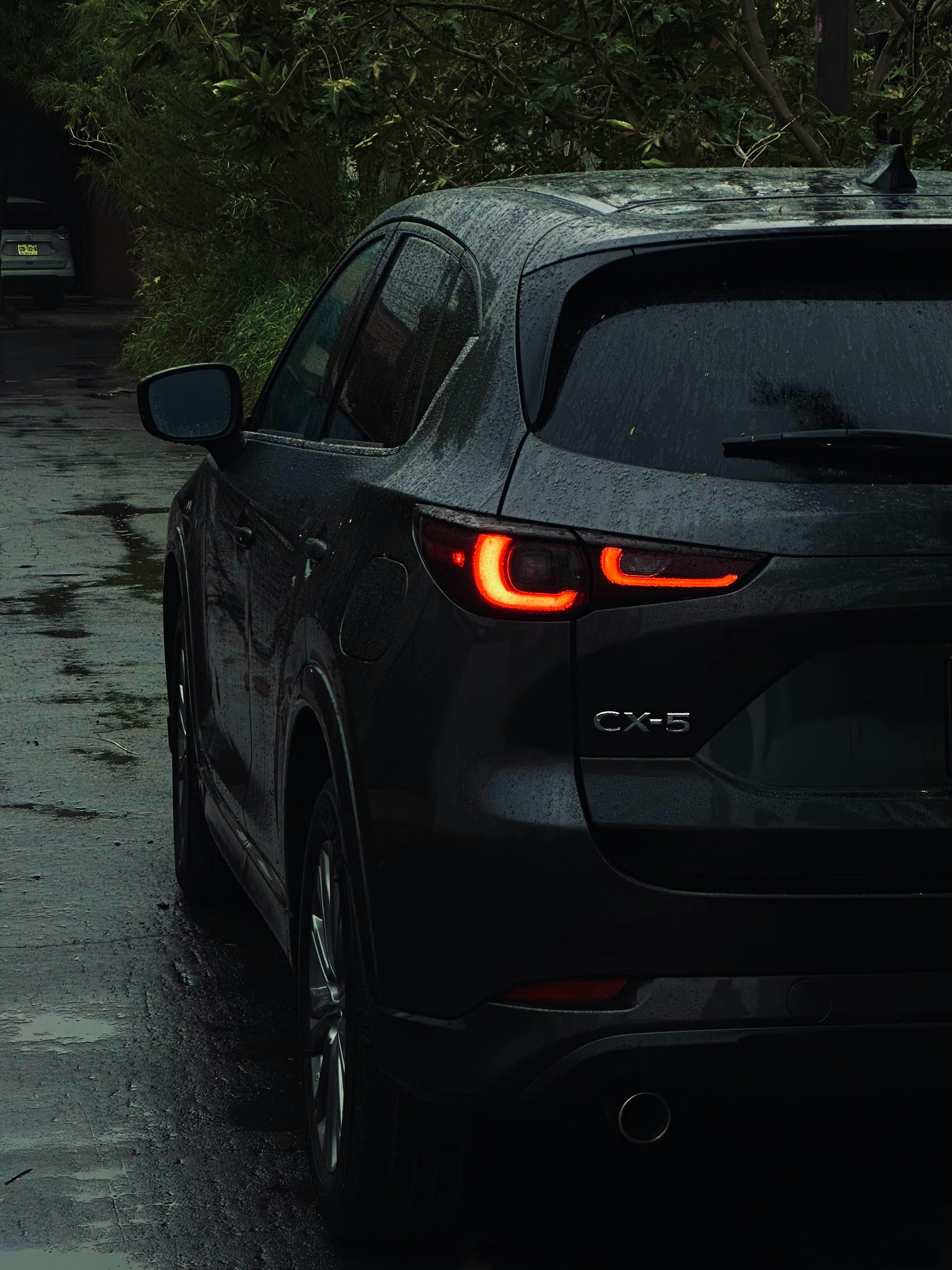 Profile