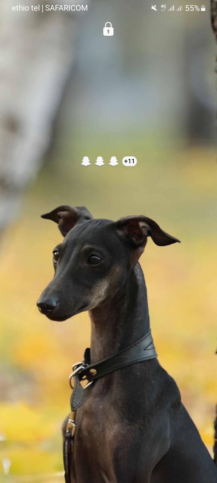Profile