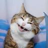 CATMMEE