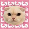dandaa