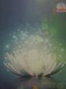 AHAMED