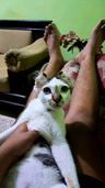 Pablocute