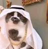 Sudes