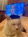 maihuong