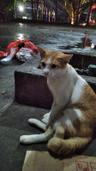 Riopatih7