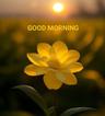 Sandip