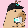 baekpro