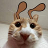 gomubaeg