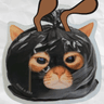 MRGAI