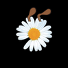PEACEMINUS