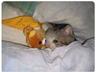 Cate4
