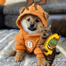 MINDOG