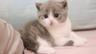 Mimi