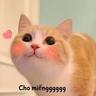 mewmeww