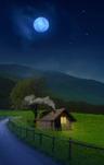 Hamim5127
