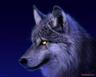 woft