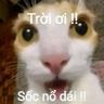 Hoainamp86