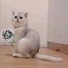 meww
