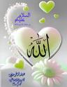 Azeemg66