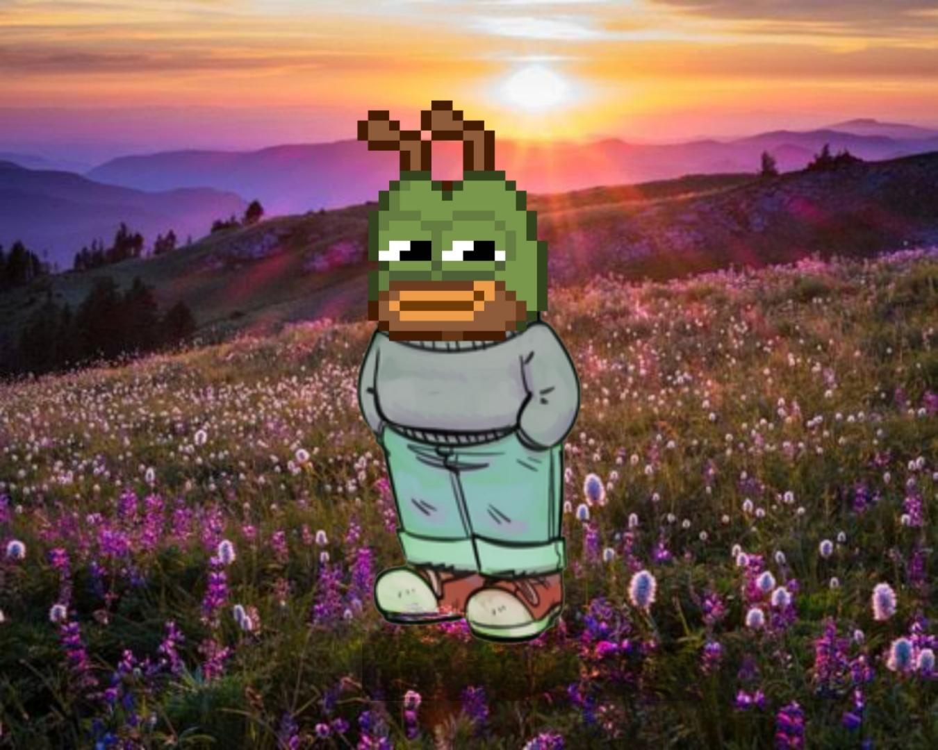 Post Image