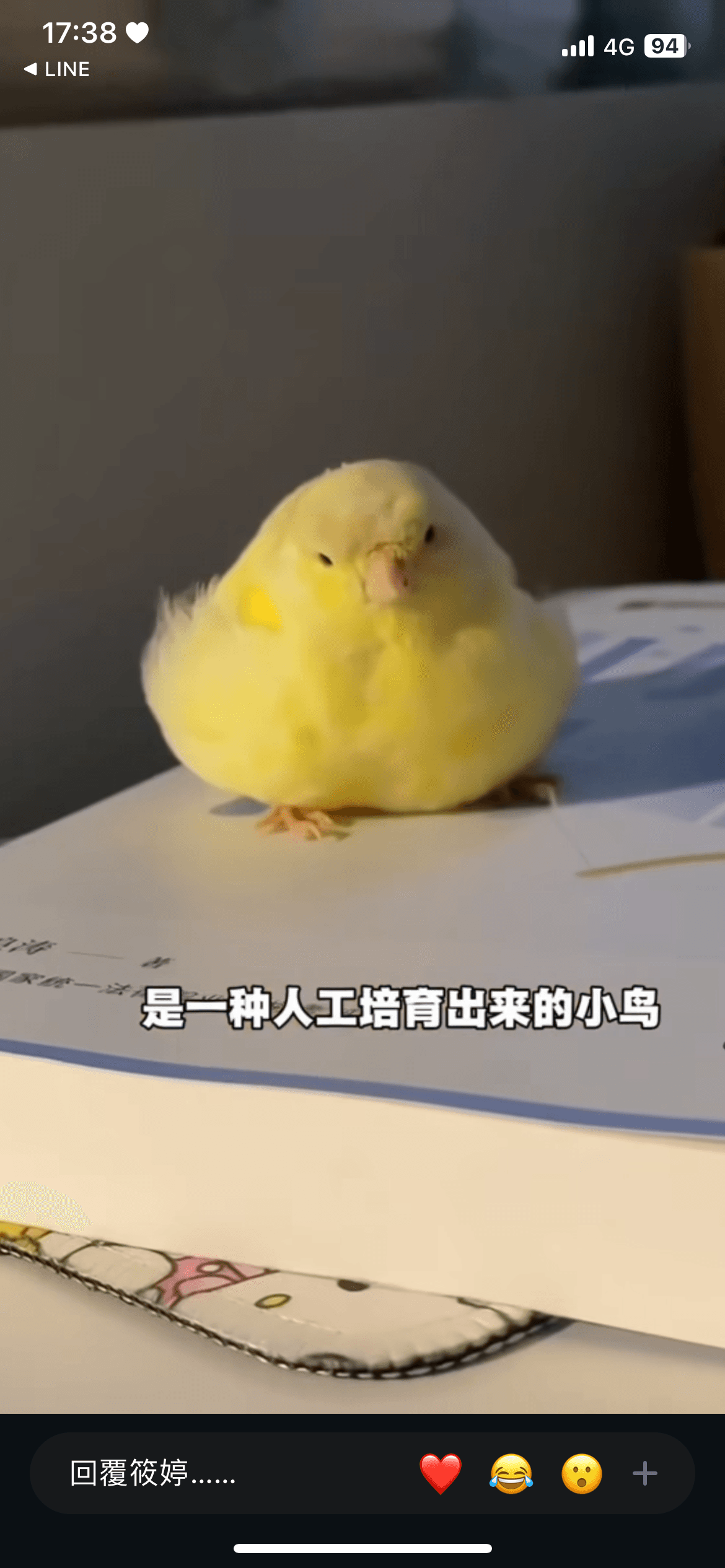 Post Image