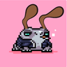 payamhn