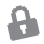 Lock Icon